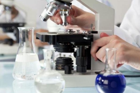 ایجاد شبکه ملی آزمایشگاههای تشخیص طبی در کشور ایجاد شبکه ملی آزمایشگاههای تشخیص طبی در کشور