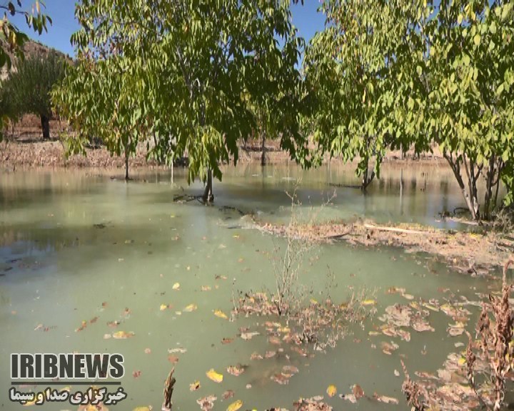 بحران خشکسالی و هدر روی آب آشامیدنی در شهرستان شیراز