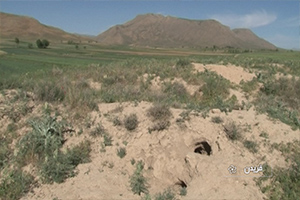 خبرهای برگزیده شهرستان ها خبرهای برگزیده شهرستان ها