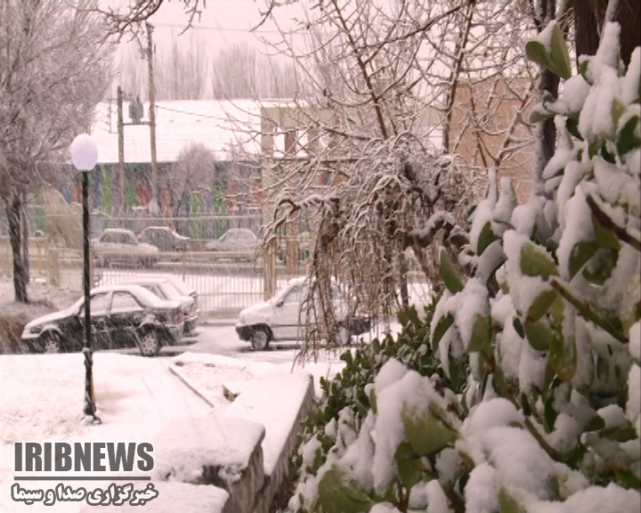 بارش برف و خوشحالی مردم + فیلم