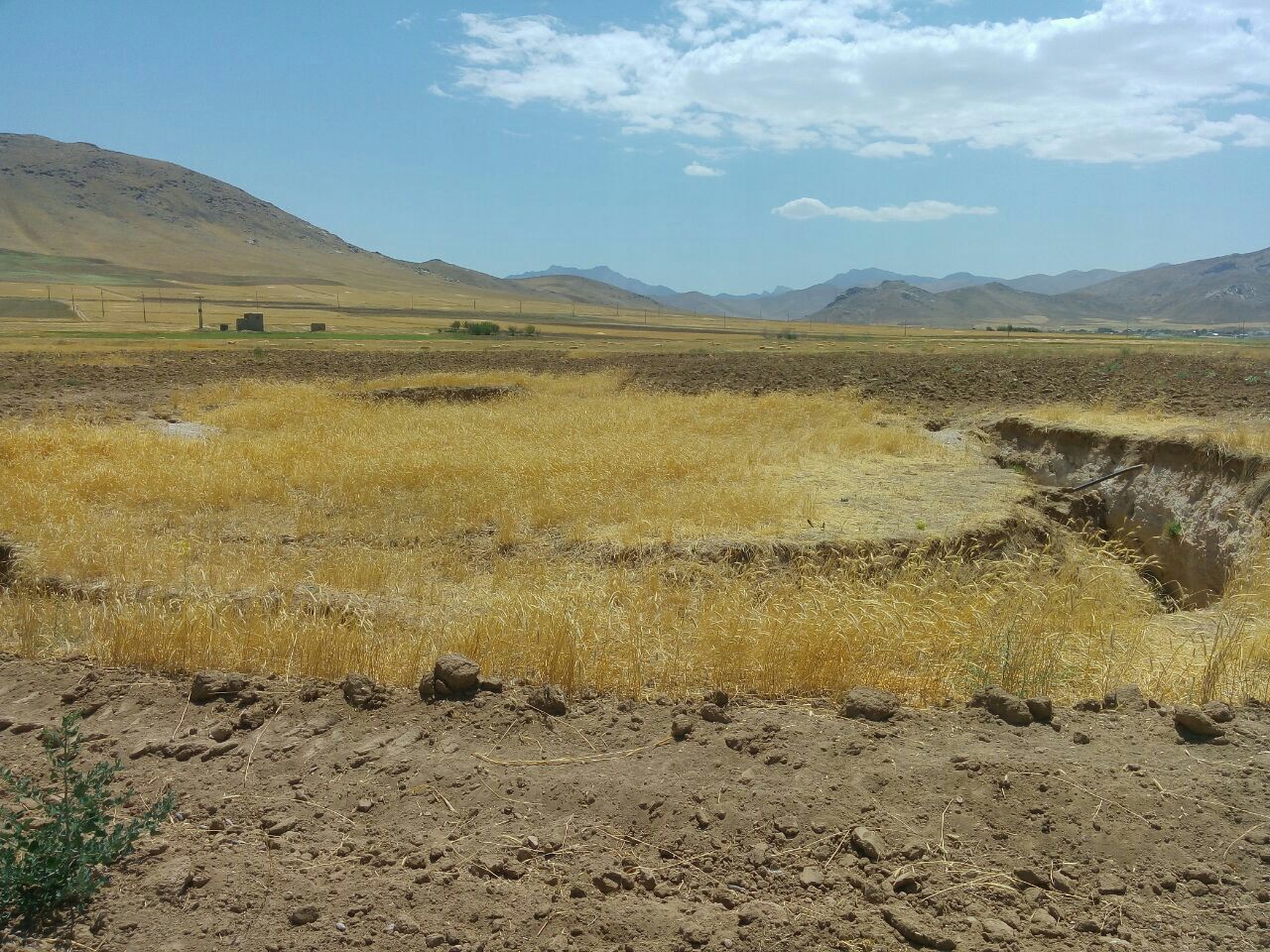 افت آبهای زیر زمینی در دشت قروه در مرحله هشدار افت آبهای زیر زمینی در دشت قروه در مرحله هشدار