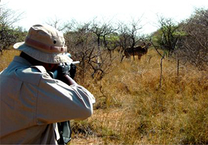 تعیین مجازات آموزنده برای متخلف زنده گیر بره وحشی در فسا