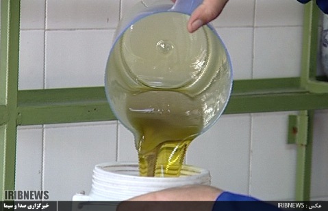 روغن زیتون گیلان، پیشرو در تولید اما در گیرو دار مشکلات