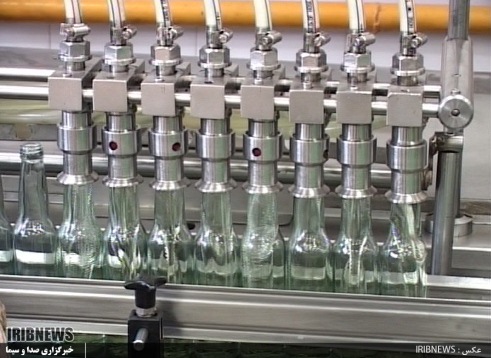 روغن زیتون گیلان، پیشرو در تولید اما در گیرو دار مشکلات