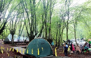 پارکهای جنگلی مازندران، مقصد بسیاری از مسافران و گردشگران پارکهای جنگلی مازندران، مقصد بسیاری از مسافران و گردشگران