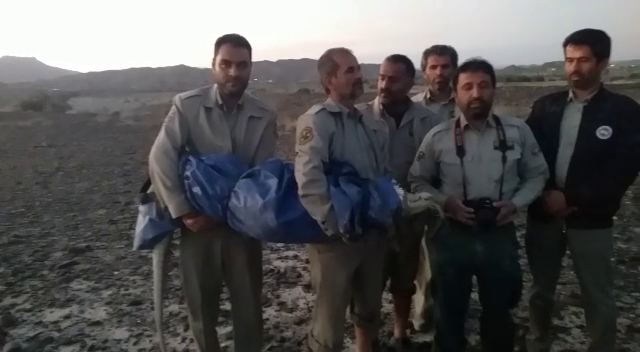 زنده گیری یک گاندو در سیل سیستان و بلوچستان زنده گیری یک گاندو در سیل سیستان و بلوچستان