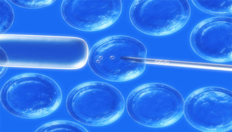 تولید سلول‌های بنیادی از سلول‌های بالغ افراد بالای یک‌صد سال