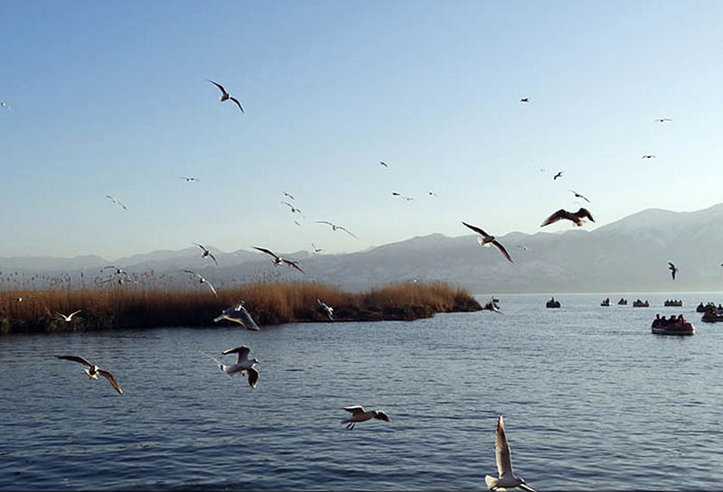زریبــار در گذرگاه جهانی شدن...
