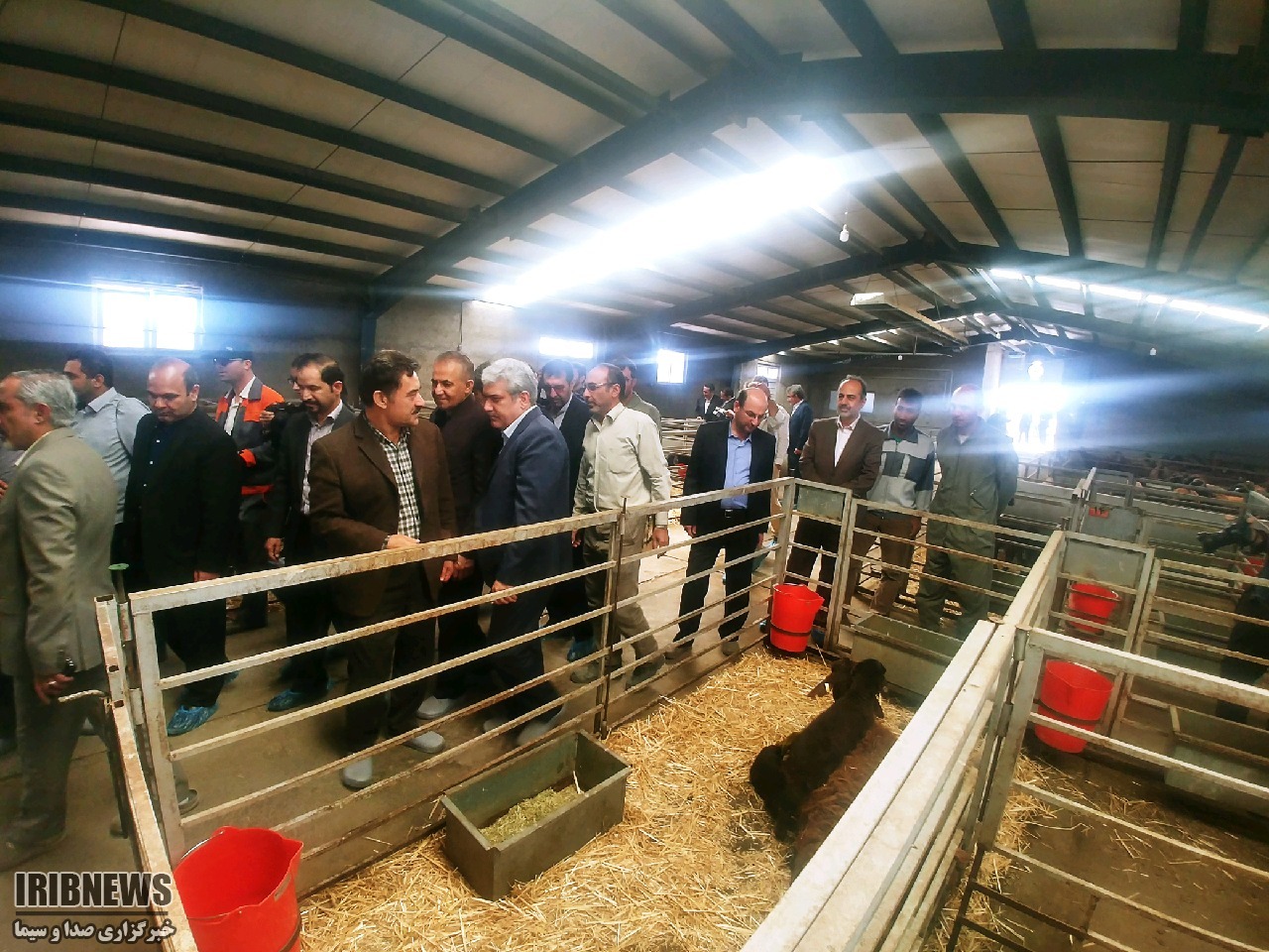 بازدیدمعاون رئیسجمهور از شرکتهای دانشبنیان زنجان بازدیدمعاون رئیسجمهور از شرکتهای دانشبنیان زنجان