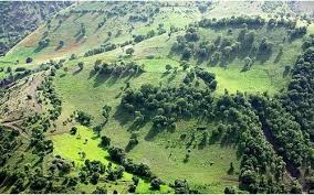 روند فرسایش زیستگاههای خراسان رضوی نگران کننده است روند فرسایش زیستگاههای خراسان رضوی نگران کننده است