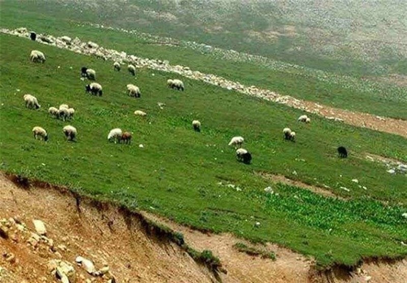 رخت سیاه مراتع در عزای طبیعت... رخت سیاه مراتع در عزای طبیعت...