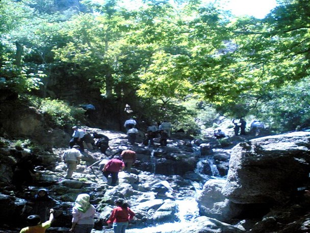 حضور سالانه بیش از ۲۵ هزار مسافر و گردشگر در مناطقه باخرز