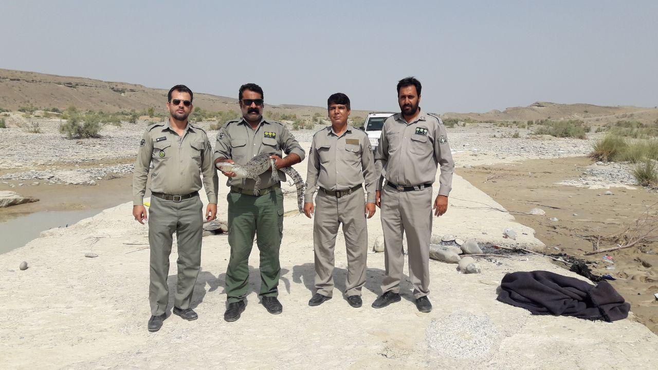 مهربانی سربازی ها با گاندو مهربانی سربازی ها با گاندو