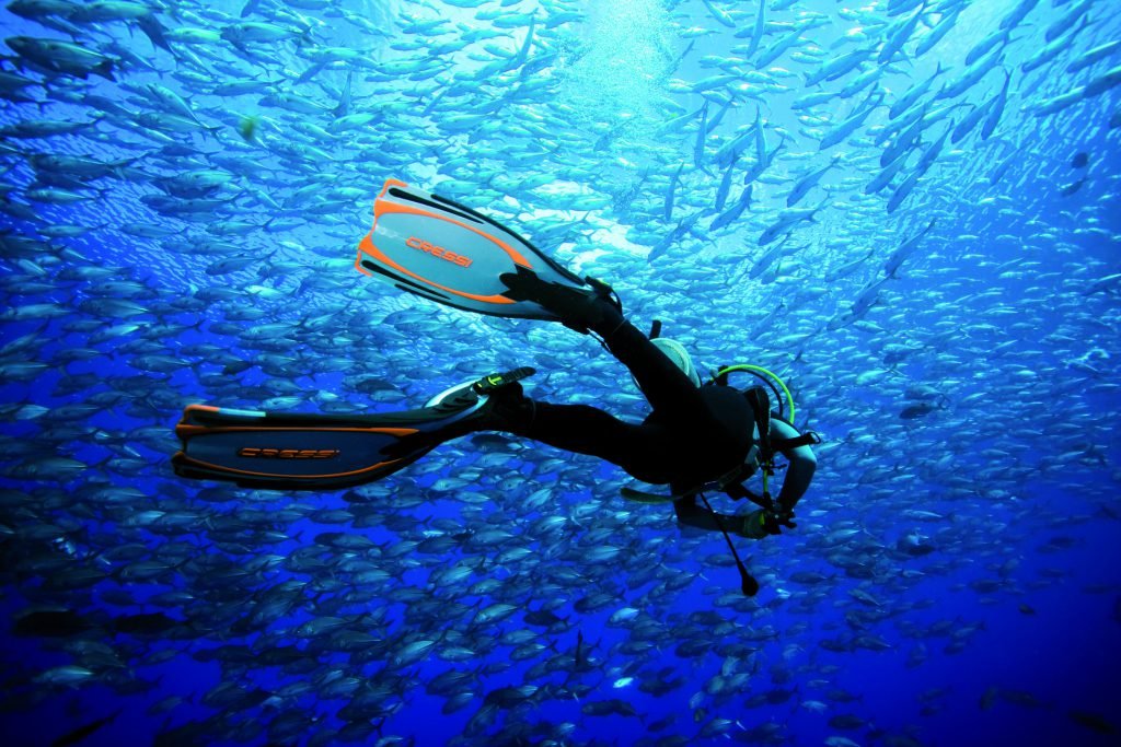 آغاز دوره مدرسی غواصی در کیش آغاز دوره مدرسی غواصی در کیش