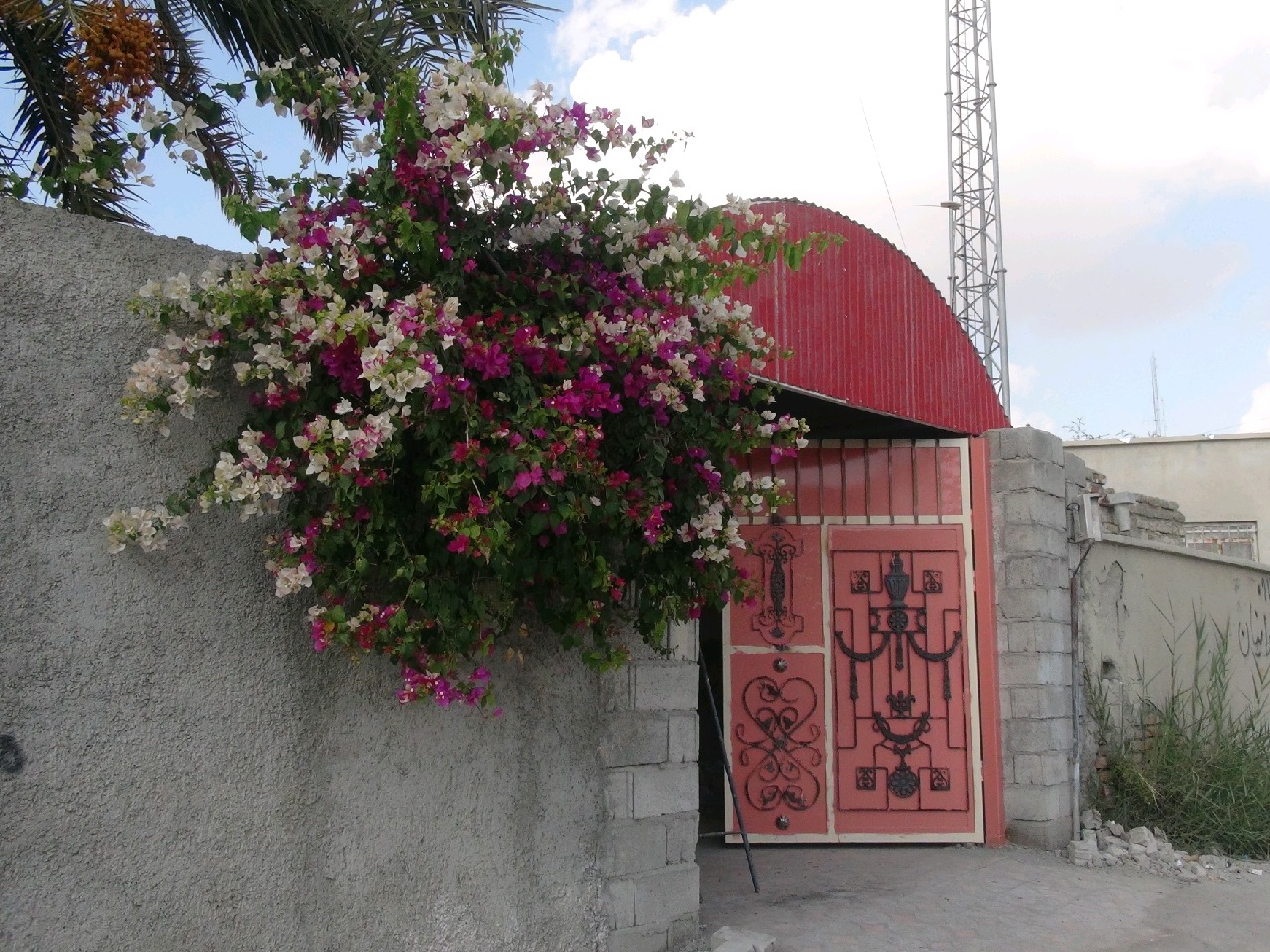 سر درهای سرباز آراسته به گل سر درهای سرباز آراسته به گل