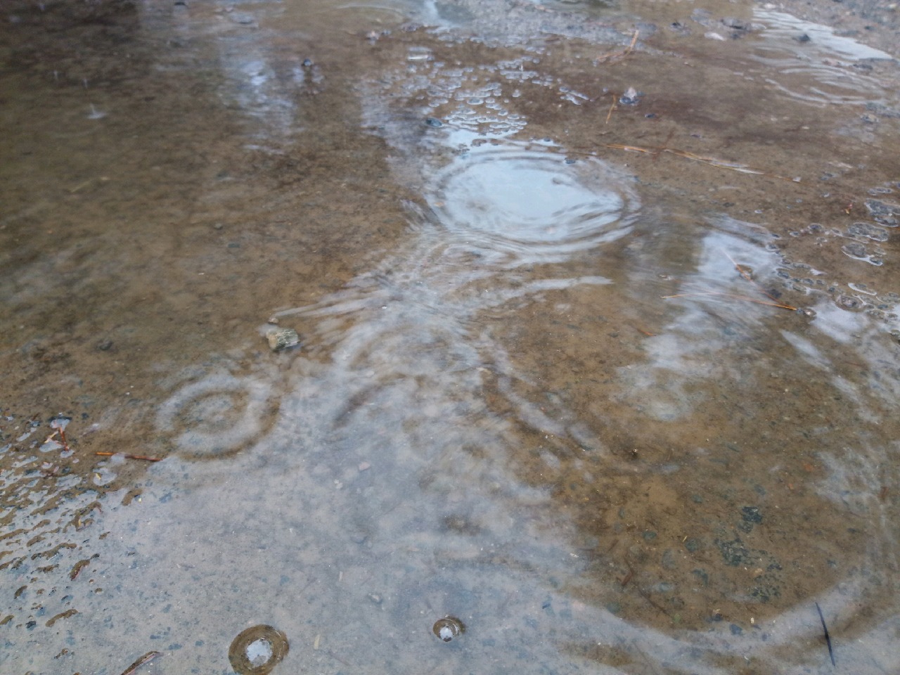 آمار بارندگی&zwnj;های ۲۴ ساعت گذشته در خراسان جنوبی