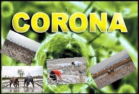 هشدارهای کرونایی به کشاورزان هشدارهای کرونایی به کشاورزان