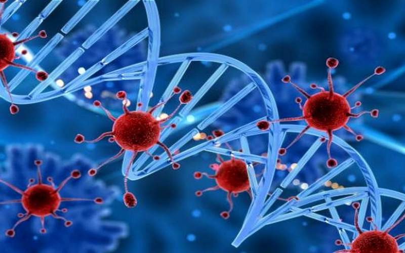 احتمال بهبودی سرطانیها در کشور چقدر است؟ احتمال بهبودی سرطانیها در کشور چقدر است؟