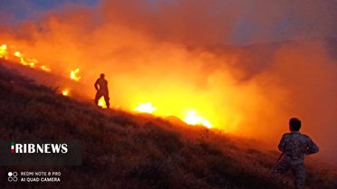زبانه های آتش بر دل طبیعت طارم زبانه های آتش بر دل طبیعت طارم