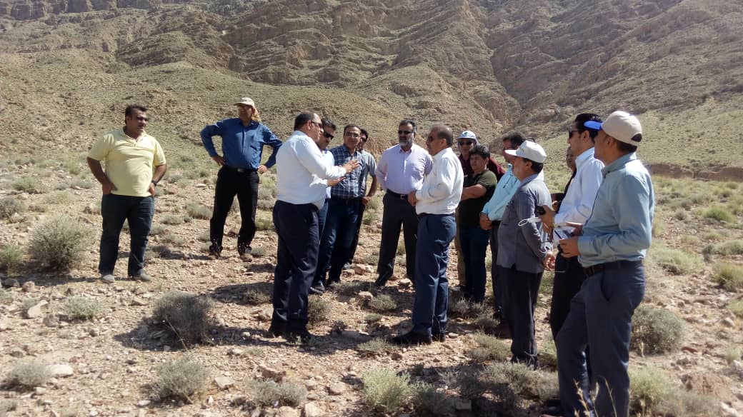 ۱۱ شهرستان فارس درگیر مبارزه با ملخ صحرایی ۱۱ شهرستان فارس درگیر مبارزه با ملخ صحرایی