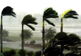 وزش بادهای نسبتا شدید در خوزستان