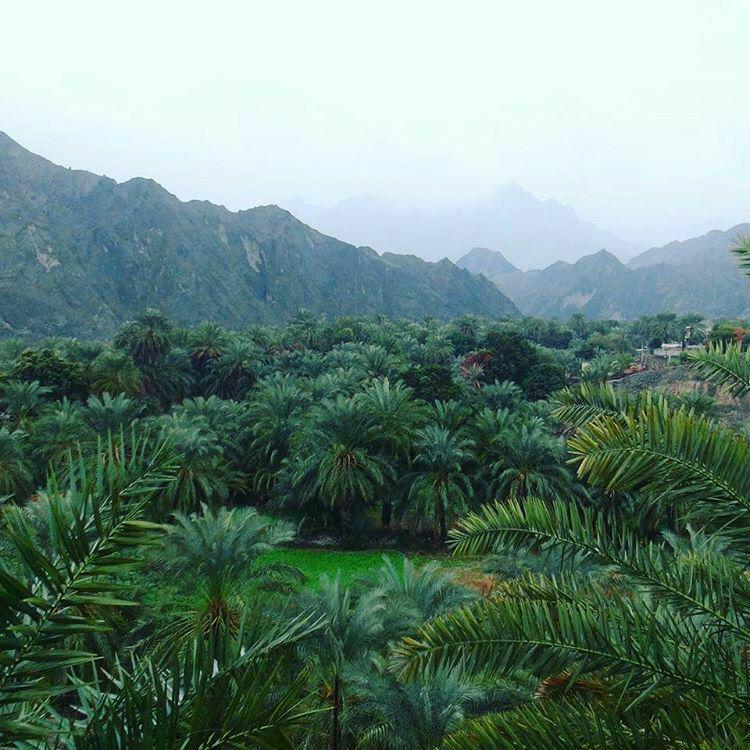 40 میلی متر باران در یازدهمین روز تابستانی سیستان و بلوچستان