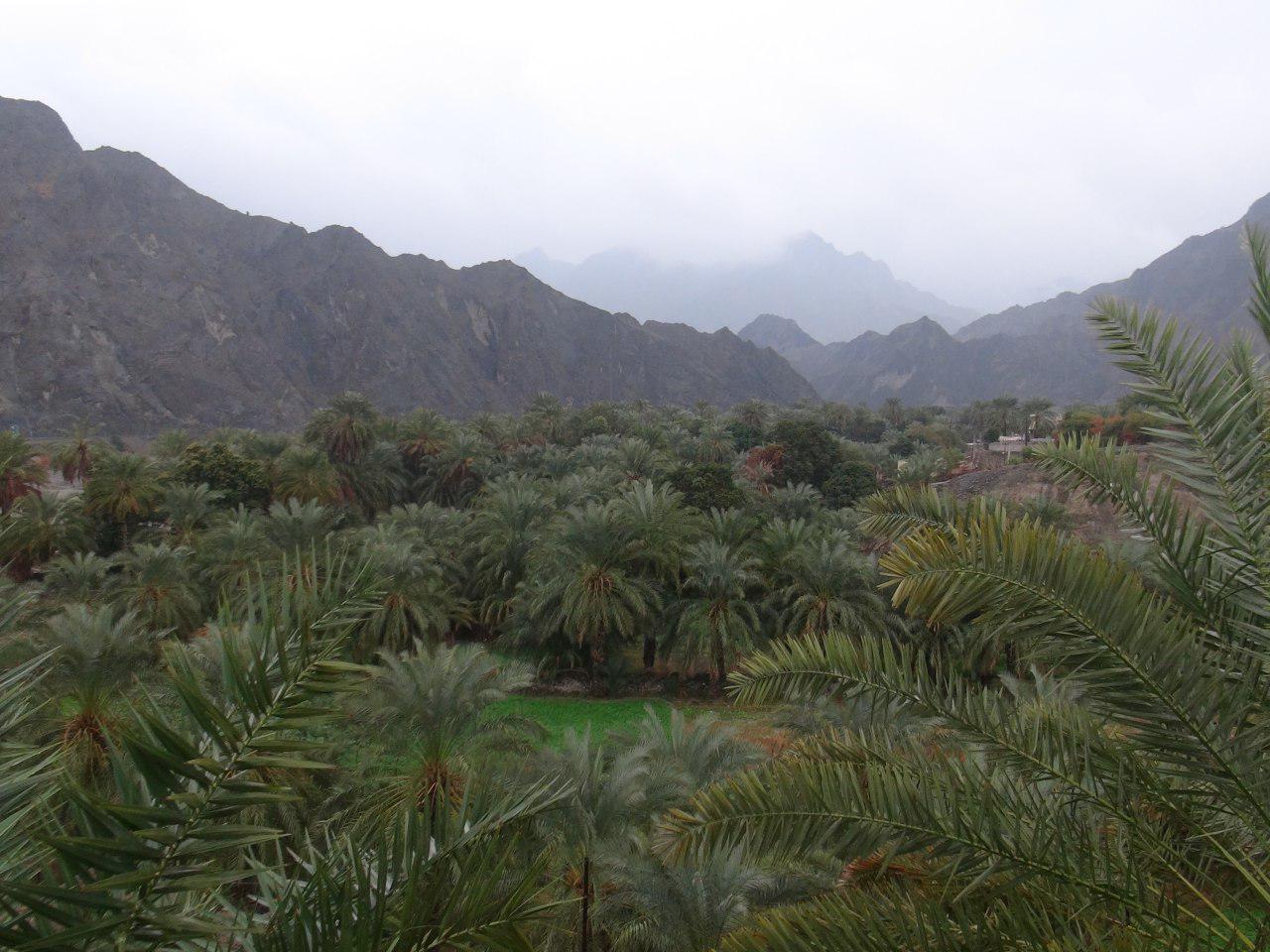 بارندگی 55 میلی متری در نیکشهر بارندگی 55 میلی متری در نیکشهر