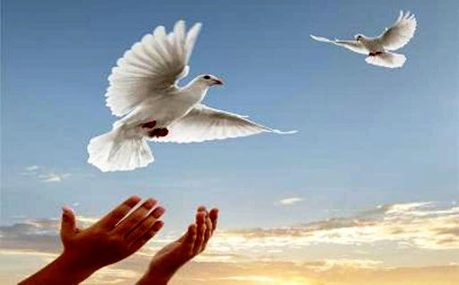 ۱۰ زندانی جرایم غیرعمد از زندان های هرمزگان آزاد می شوند