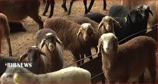 خلاصه مهمترین خبرهای امروز فارس خلاصه مهمترین خبرهای امروز فارس