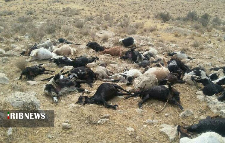 خلاصه مهمترین خبرهای امروز فارس خلاصه مهمترین خبرهای امروز فارس