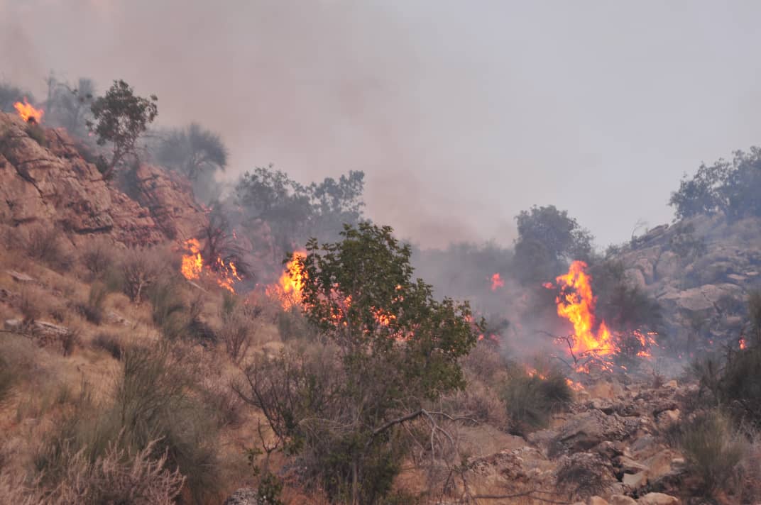 آتش در ارتفاعات افزر همچنان می‌تازد