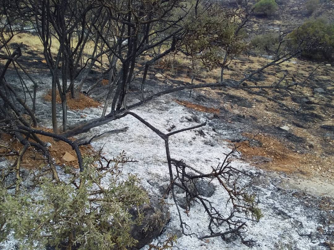 خلاصه مهمترین خبرهای امروز فارس خلاصه مهمترین خبرهای امروز فارس