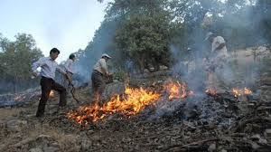 مهار آتش در بلوط زارهای دهدز مهار آتش در بلوط زارهای دهدز