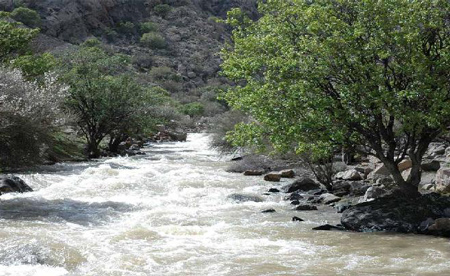 آشنایی با پارک ملی بختگان در شیراز (+تصاویر)