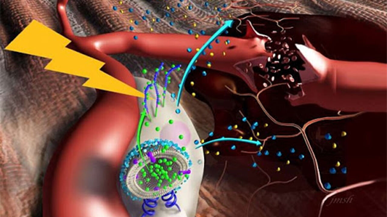 سلولها بافتهای آسیب دیده را ترمیم میکند سلولها بافتهای آسیب دیده را ترمیم میکند