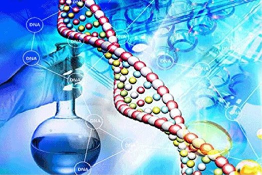 نهایی&zwnj;سازی چشم&zwnj;انداز ۱۴۱۴ فناوری نانو در دستور کار