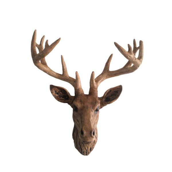 گزارش مکتوب؛ سکوت مرال&zwnj;ها در جنگل&zwnj;های گیلان