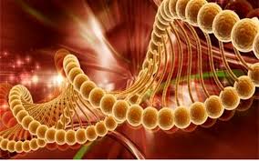 برای پیشگیری از سرطان غذای روزانه خود را کنترل کنید برای پیشگیری از سرطان غذای روزانه خود را کنترل کنید