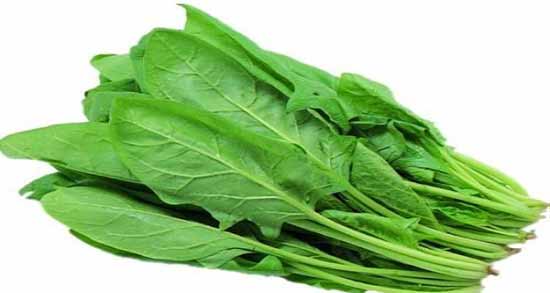 کدام مواد غذایی احساس خستگی را از بین میبرد؟ کدام مواد غذایی احساس خستگی را از بین میبرد؟