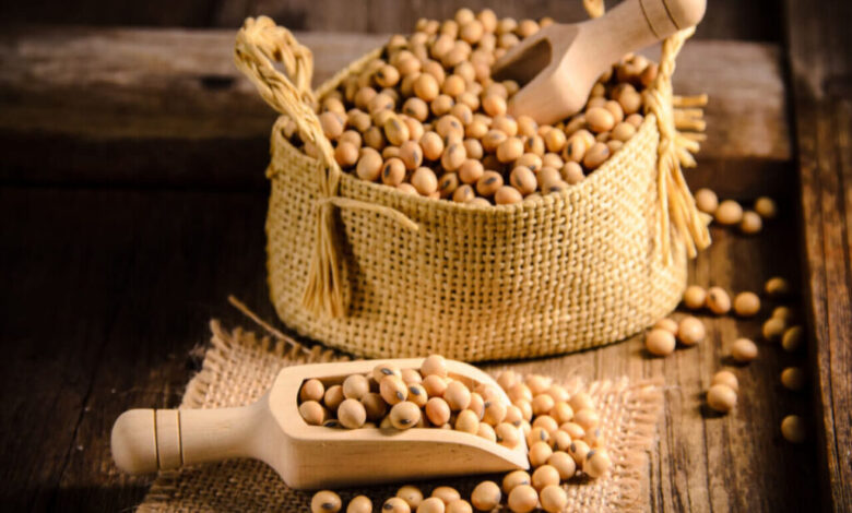 سویا خطر ابتلا به بیماری های متابولیک را کاهش می دهد سویا خطر ابتلا به بیماری های متابولیک را کاهش می دهد