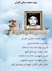 درگذشت مادر شهید محمد شبانی اناران