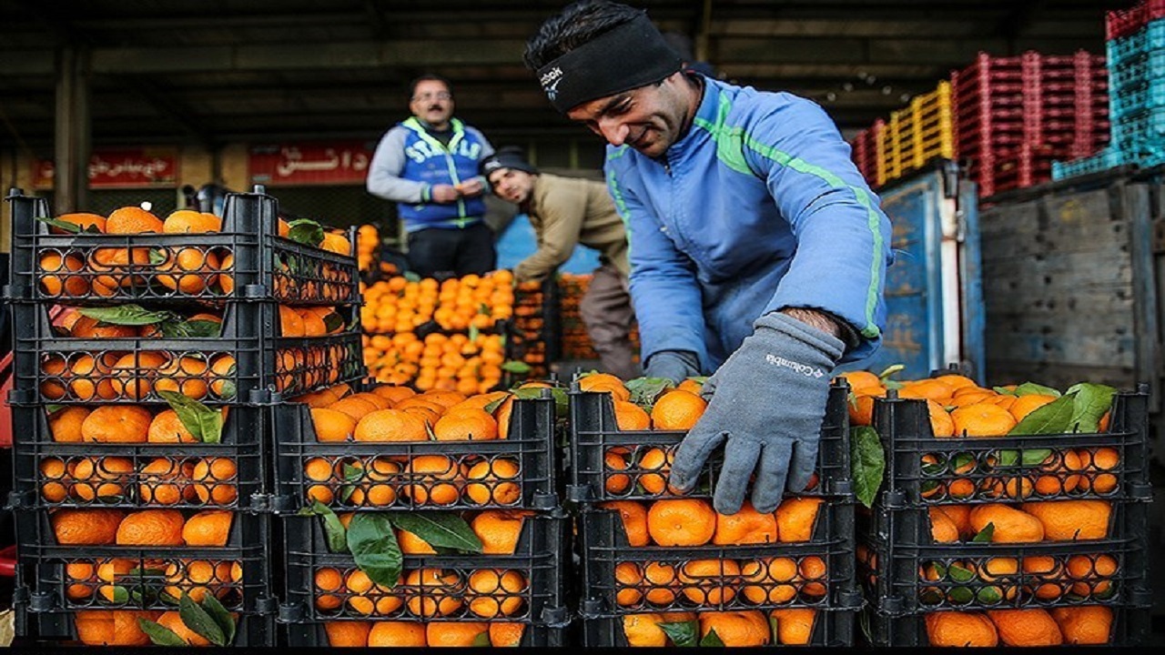 ۳۵۰ تن پرتقال و سیب قرمز در اردبیل توزیع می‌شود