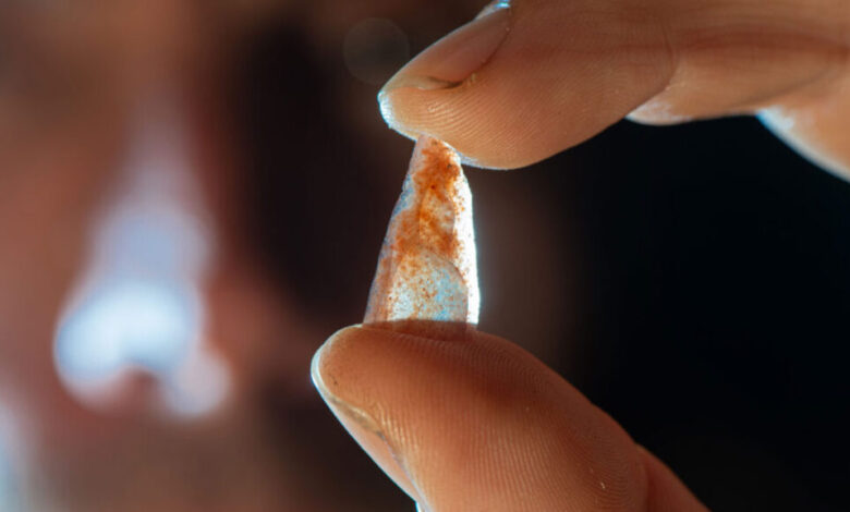 کدام انسانها تیراندازی با کمان را به اروپا برده اند؟ کدام انسانها تیراندازی با کمان را به اروپا برده اند؟