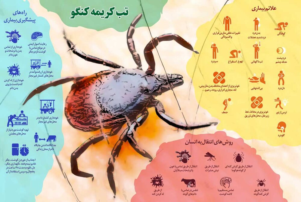 توصیه سازمان دامپزشکی برای پیشگیری از عوامل ابتلا به تب کریمه