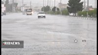 بارش باران در فارس
