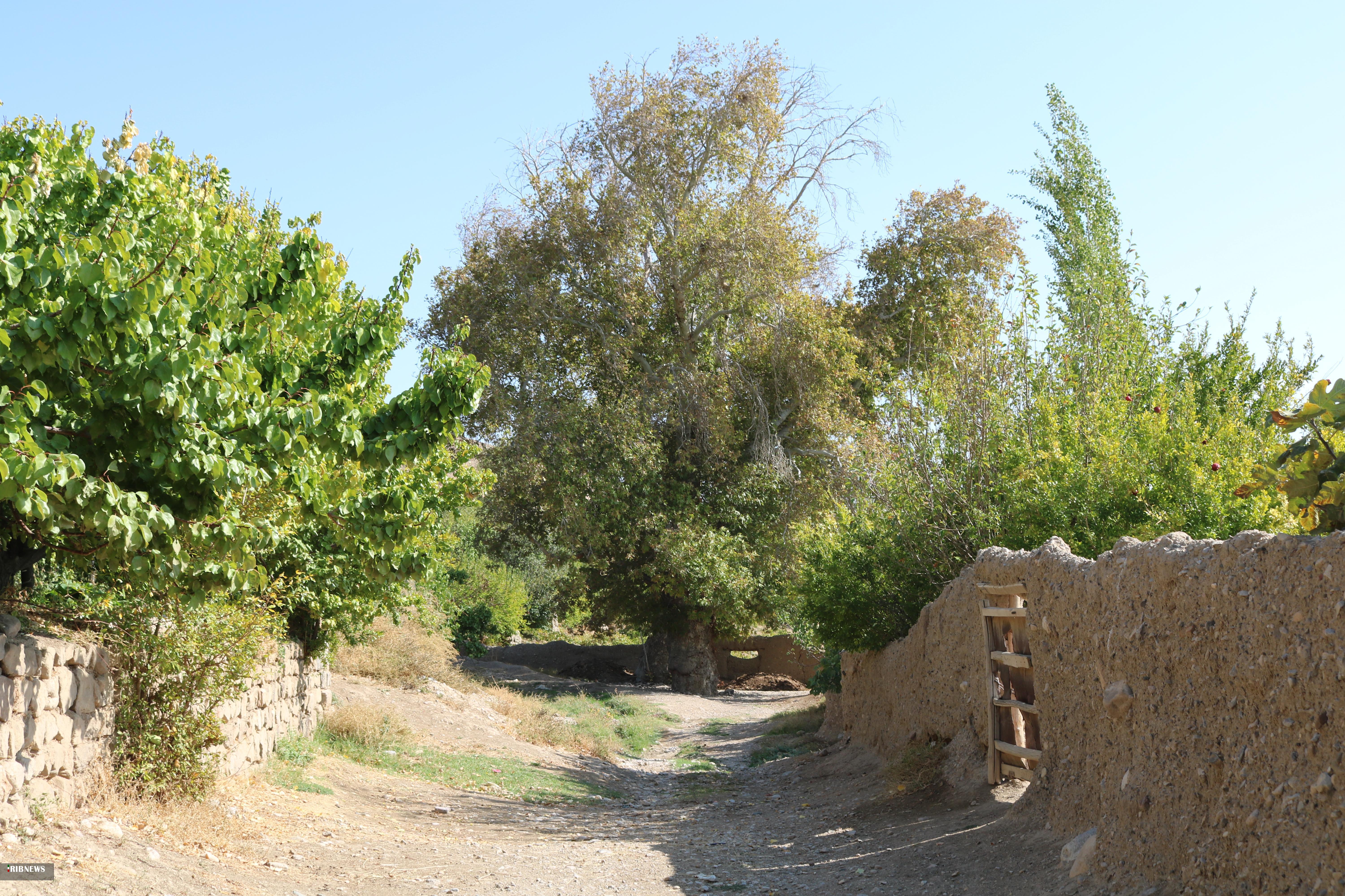 ۲ اثر طبیعی خراسان شمالی ثبت ملی شدند ۲ اثر طبیعی خراسان شمالی ثبت ملی شدند