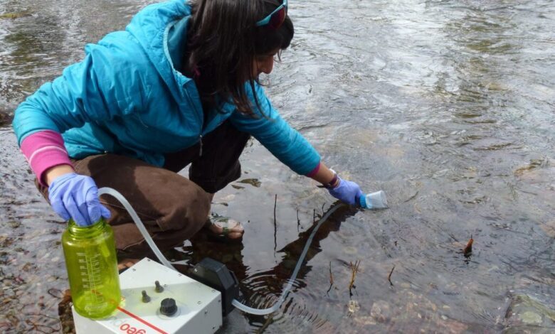 ژنهای انسانی قابل بازیافت از محیط زیست هستند ژنهای انسانی قابل بازیافت از محیط زیست هستند