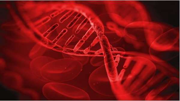 هموفیلی هموفیلی