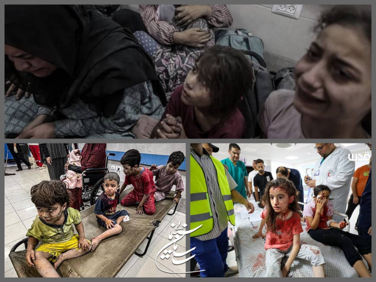 جامعه سینمایی کشتار مردم بیگناه غزه به دست رژیم صهیونیستی را محکوم کرد جامعه سینمایی کشتار مردم بیگناه غزه به دست رژیم صهیونیستی را محکوم کرد