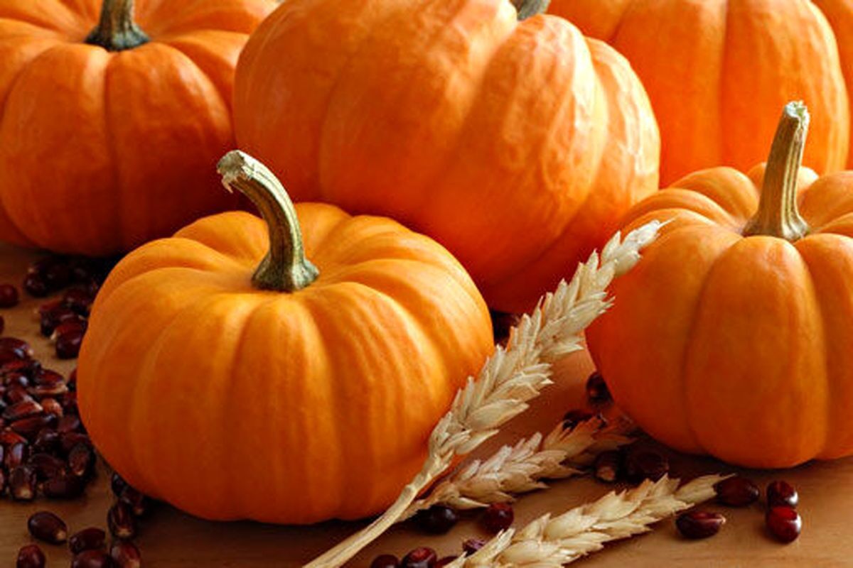 کدوحلوایی قرص طبیعی ویتامین و سرماخوردگی کدوحلوایی قرص طبیعی ویتامین و سرماخوردگی